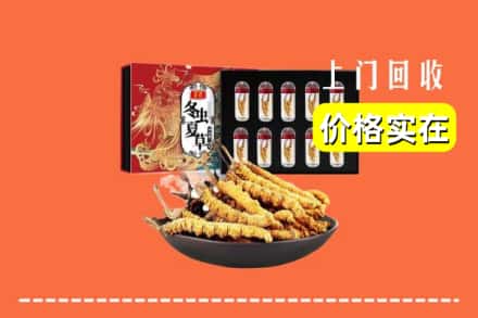 新宾县回收冬虫夏草